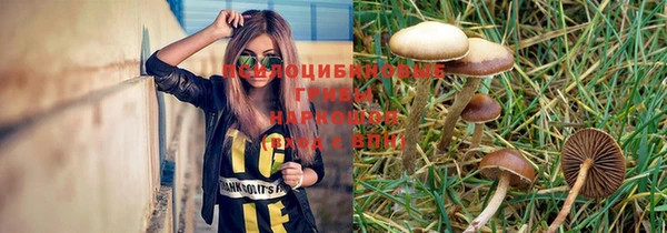тгк Россошь