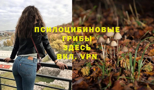 гашик Рославль