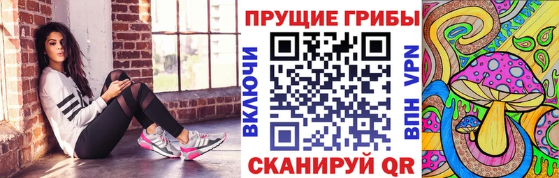 Галлюциногенные грибы Cubensis  Кондопога 